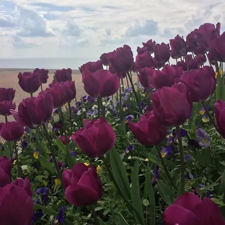 Stella Angela Lejlighed