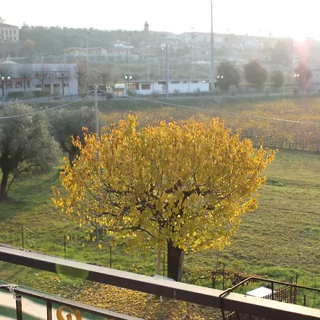 Stella Angela Μπαρντολίνο