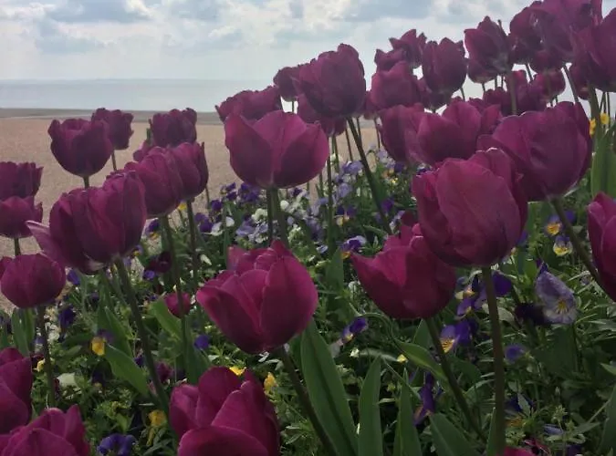 Stella Angela Διαμέρισμα